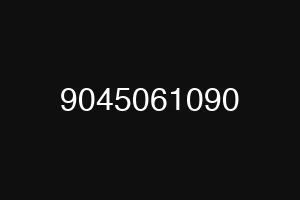 9045061090