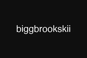 biggbrookskii