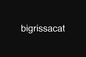 bigrissacat